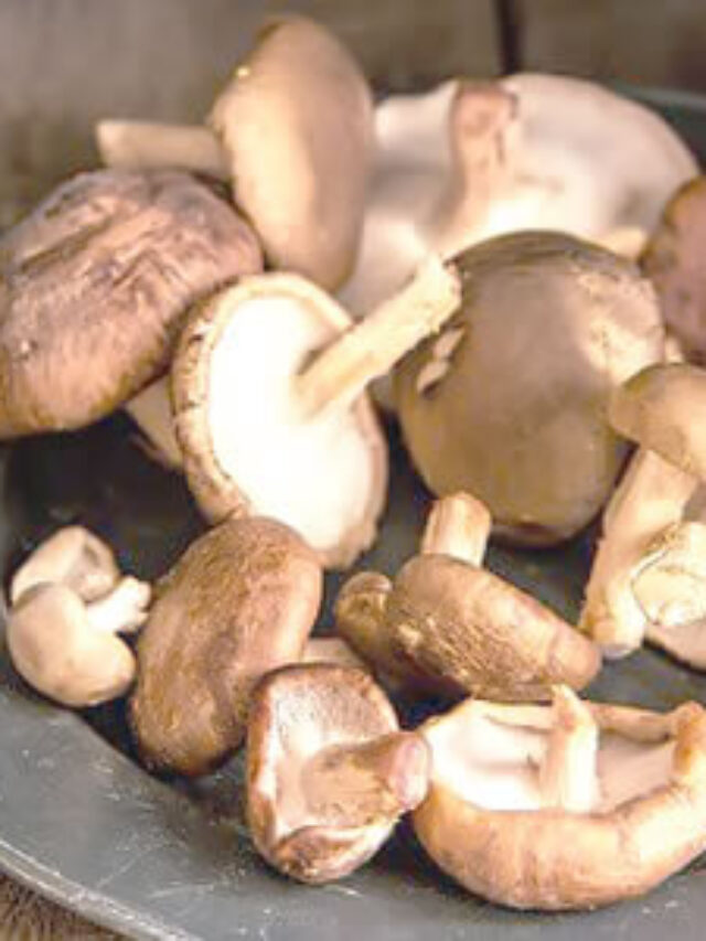 5 Health Benefits Of Mushroom